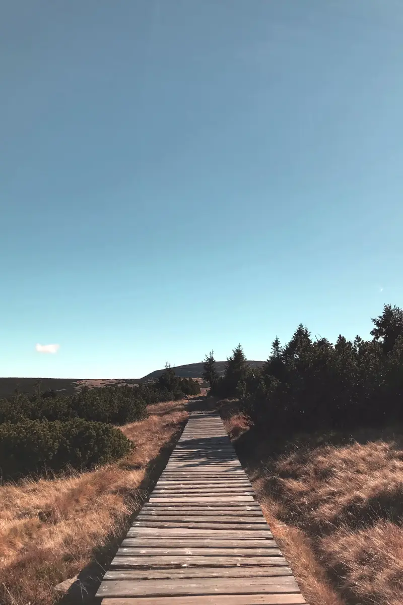 summer view of karkonosze